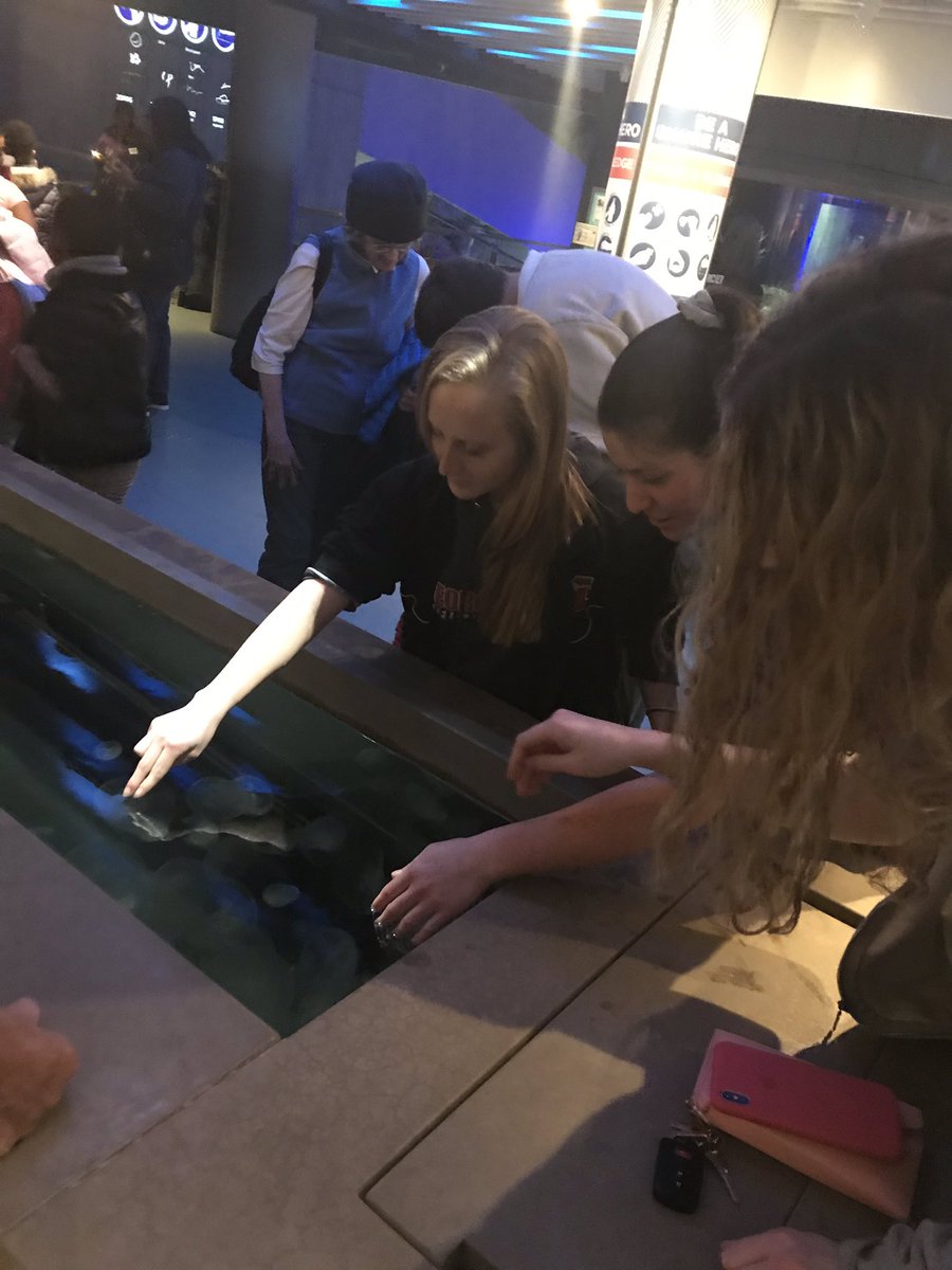 pollackscience's tweet photo. Pics of our #ibess day at the @NatlAquarium #FCCPS #gmscience https://t.co/6SXrOIWYM5