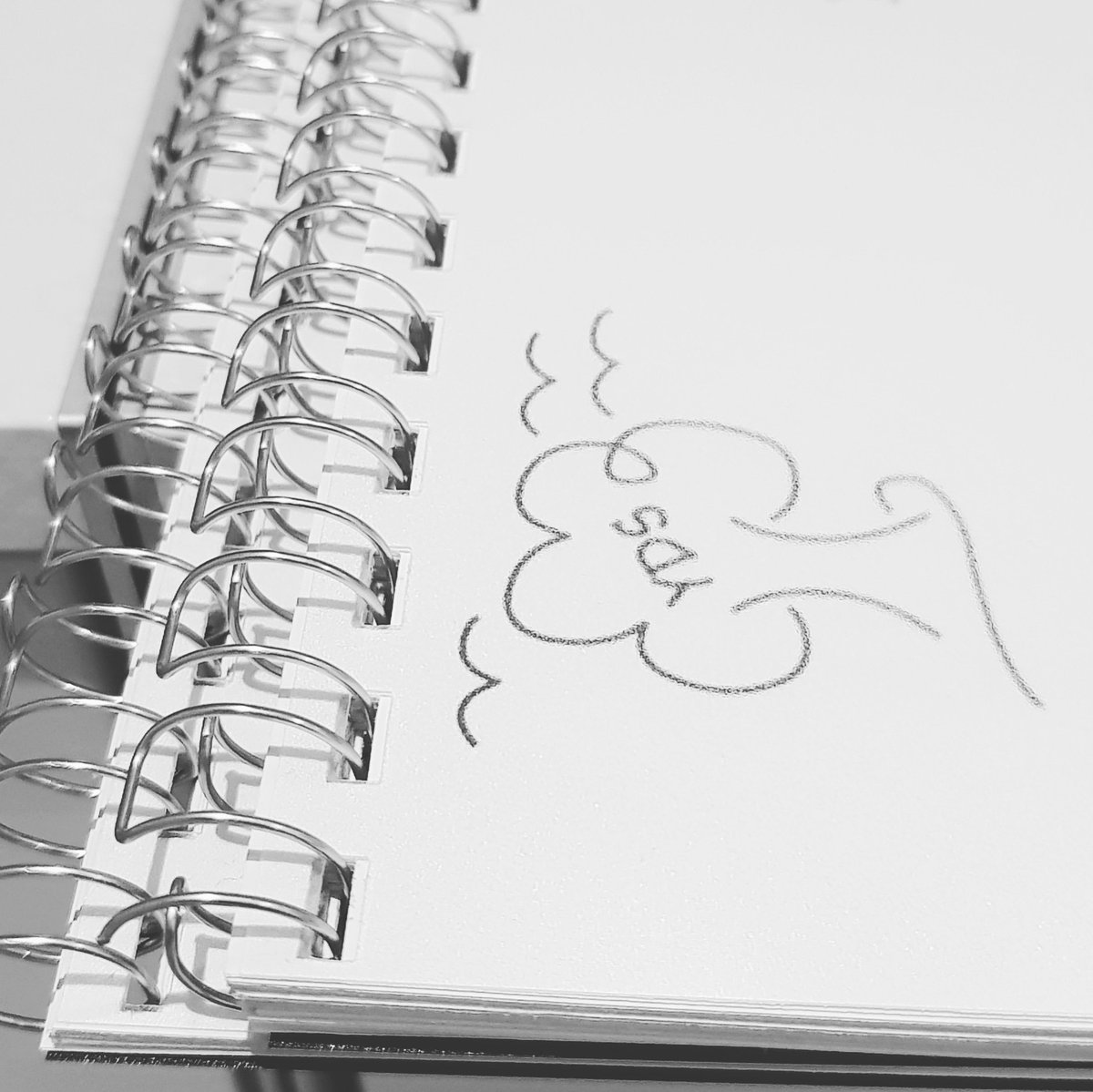 ydsYvette's tweet image. More specification packs ready to go. #gardendesign #plantswoman #wirebind #stationerygeek