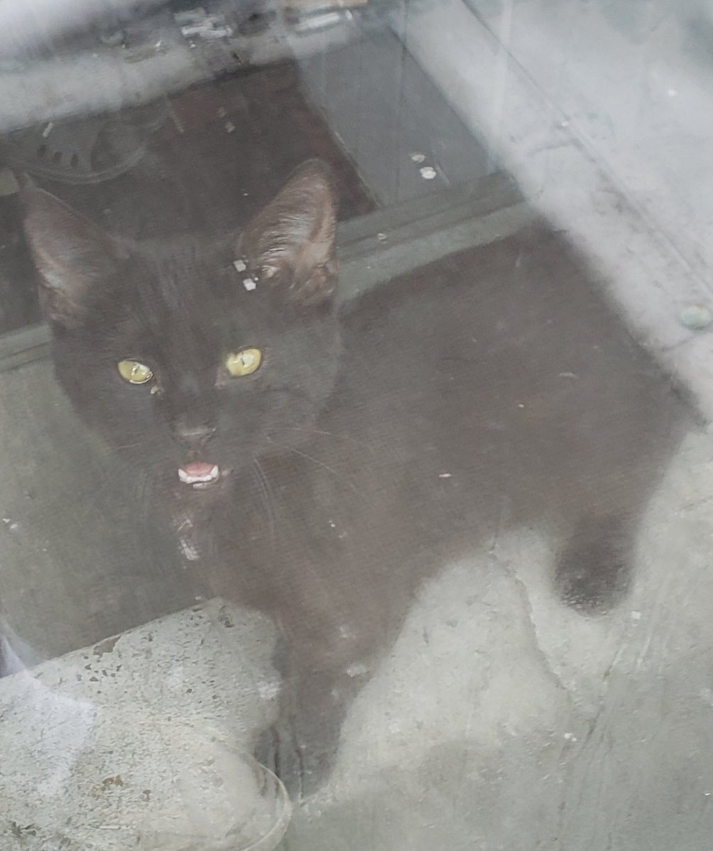 She yelled at me for going outside without a big enough coat.