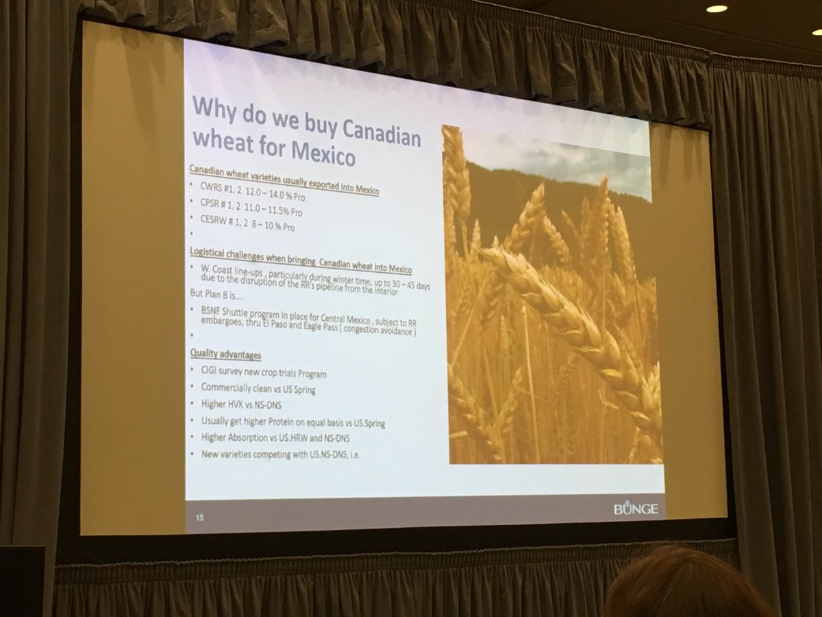 allanreporter's tweet photo. Armando Rosales of Bunge slide Canadian Crop Convention #westcdnag #wheat #CdnCrops19 https://t.co/gjh8BwVYb9