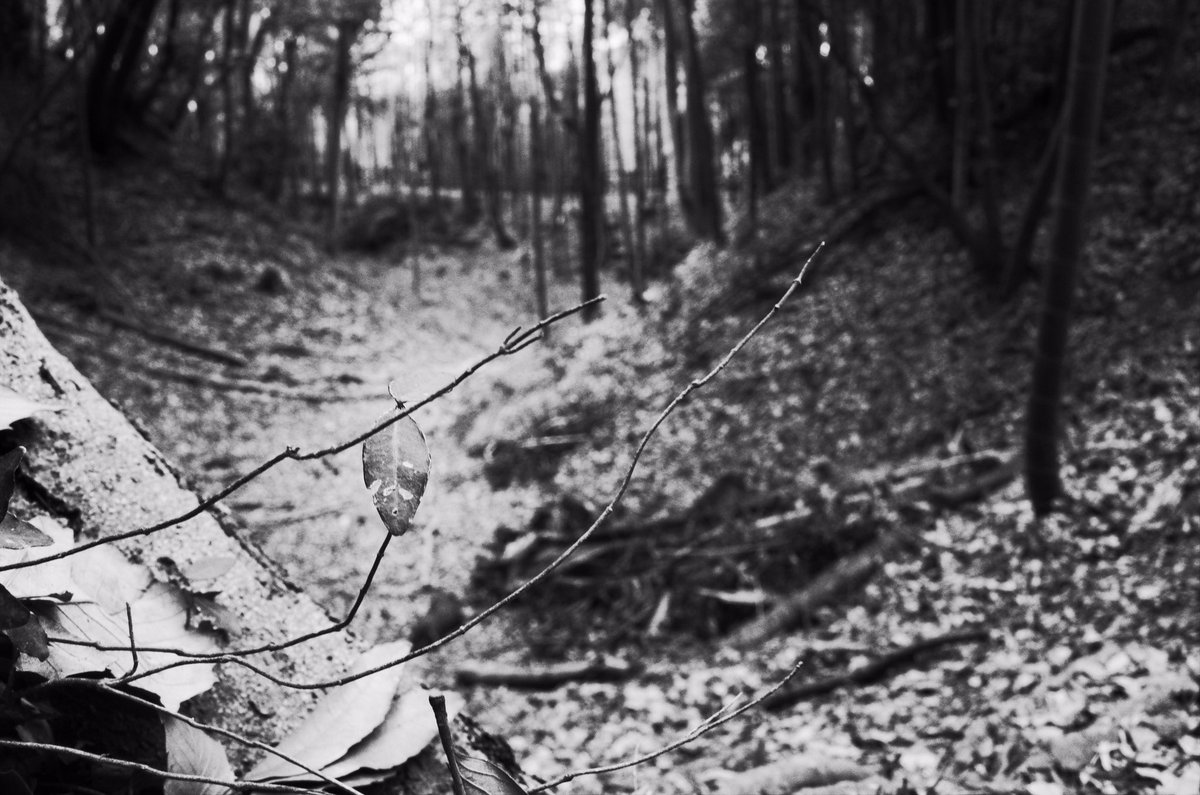 amane01's tweet image. #blackandwhitephotography #whatisleft #GR2 #grsnaps