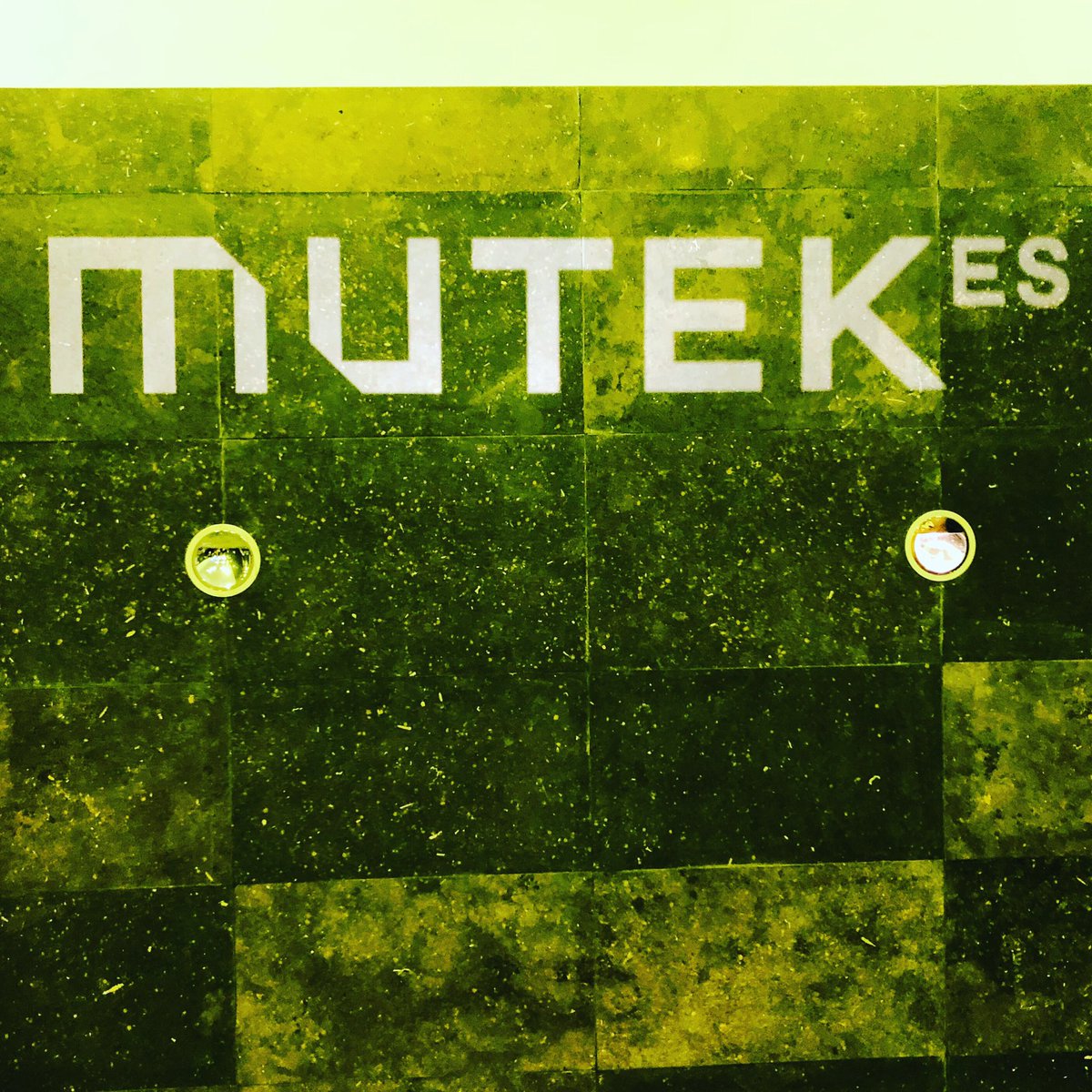 vfibla's tweet photo. Push1stop, @wiklowmusic , Martin Messier and Yro at @MUTEK_ES @IF_Barcelona #abouttostart #mutekbcn https://t.co/i3qtjLuwrB