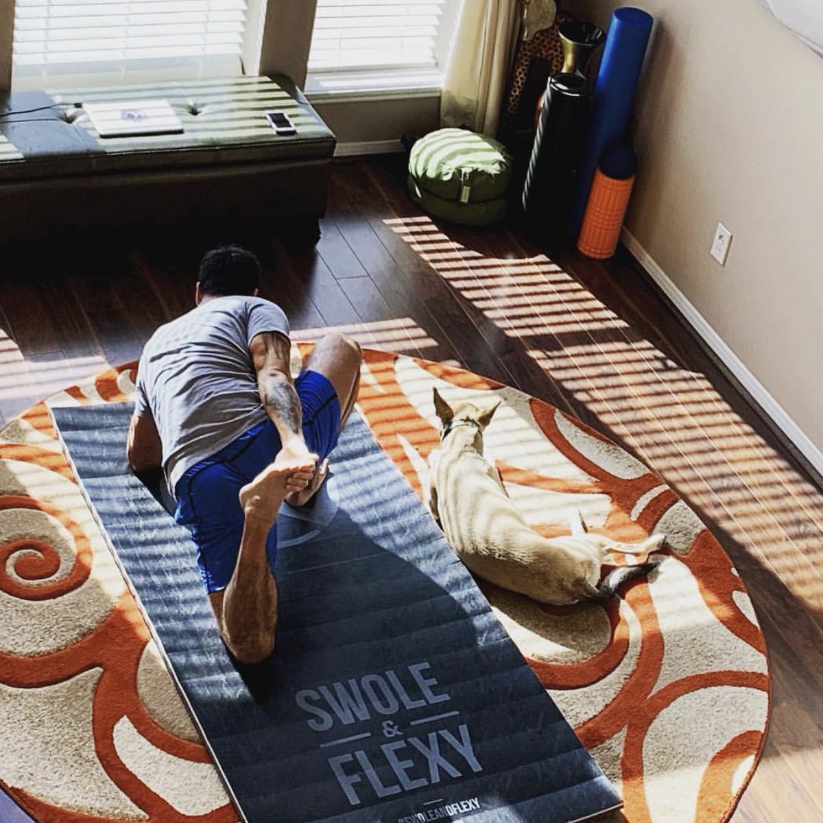 pliability_'s tweet photo. Good #ROMdog showing support. https://t.co/lPKBfKzQwt