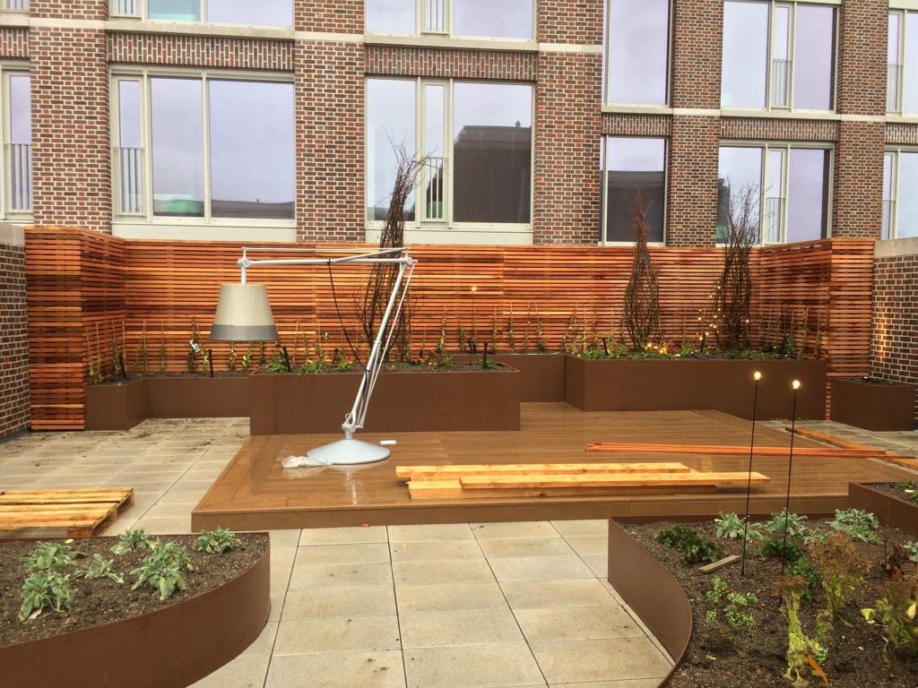 Timber Ireland tweet media