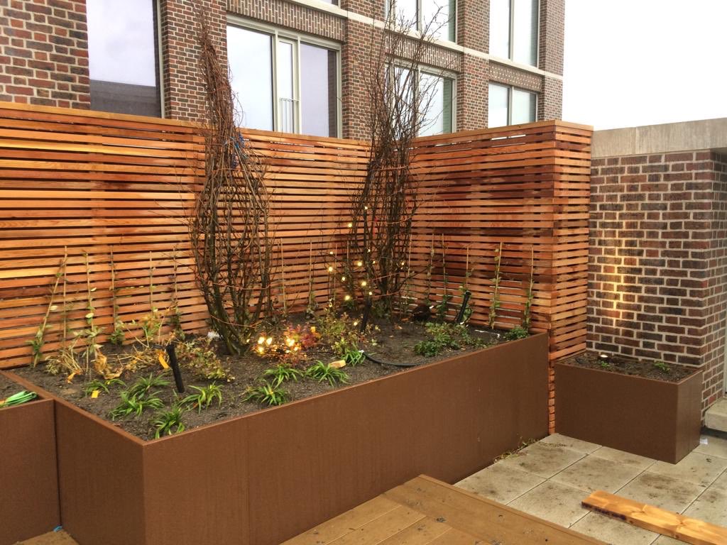 Timber Ireland tweet media