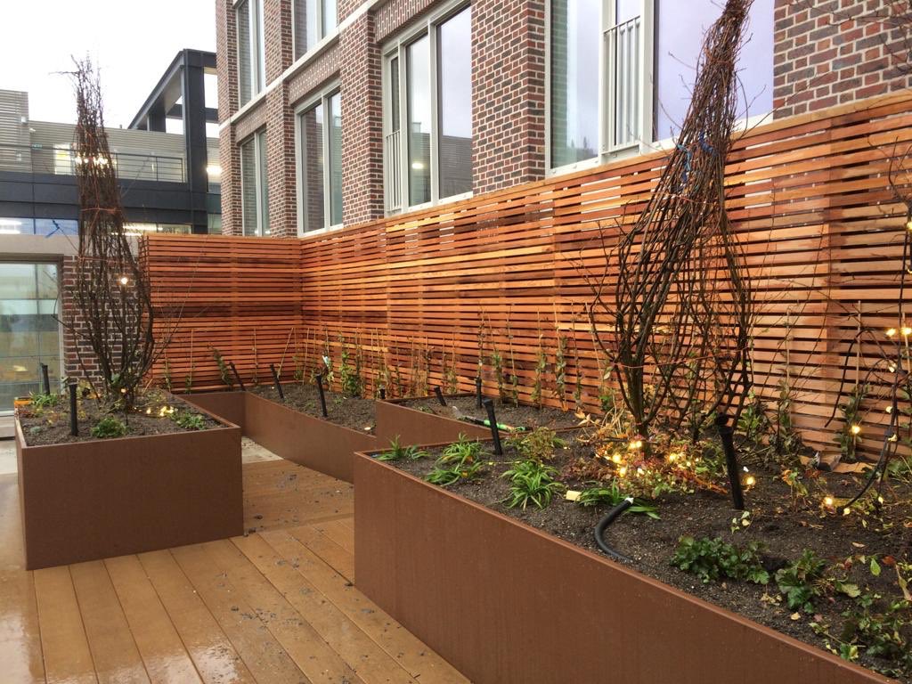 Timber Ireland tweet media