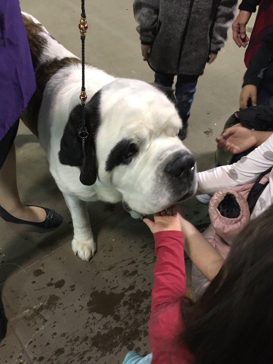 Julie Schlessman tweet media