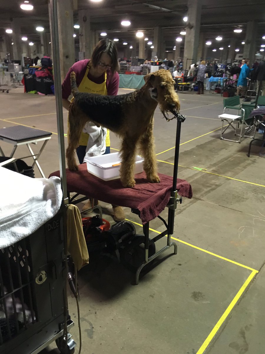 Julie Schlessman tweet media