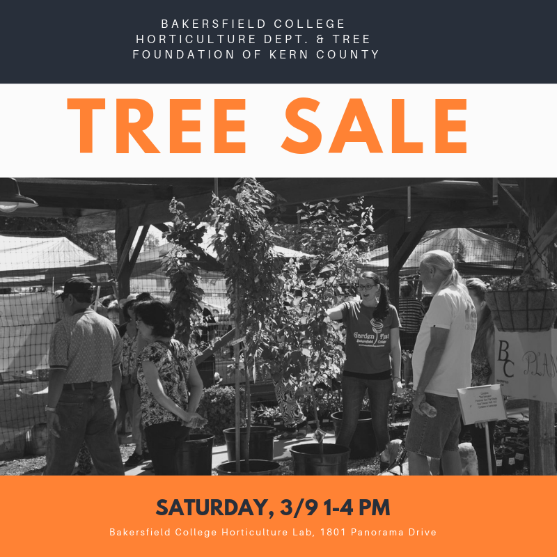 BAKcollege's tweet photo. Tree Sale this Saturday 1-4 in the Horticulture Lab. Ornamental Chinese Pistache trees 1 for $7 or 2 for $10. https://t.co/zgvxbjc3GN