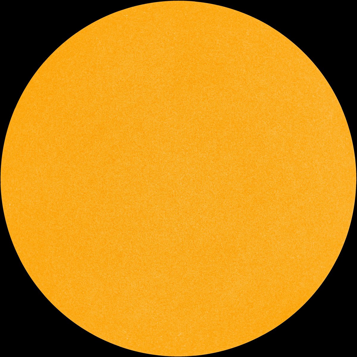 mediainaf's tweet image. Nemmeno una macchiolina. Zero. Per un mese intero: febbraio 2019. È accaduto al #Sole. Come mai? E, più in generale, come si formano – o non si formano - le #macchie #solari? Lo abbiamo chiesto a @MauroMesserotti  media.inaf.it/2019/03/07/mac…