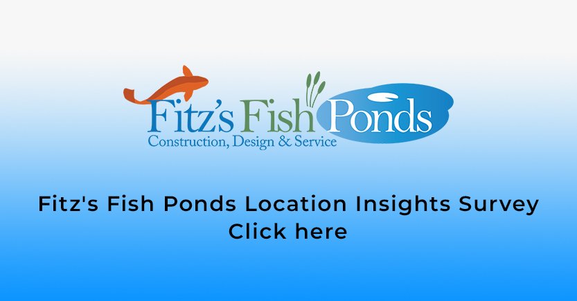 FitzsFishPonds's tweet image. FFP Location Insights Survey - mailchi.mp/4c6d1d6a79d9/f…