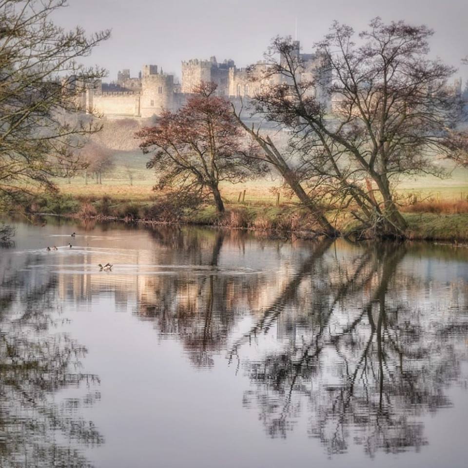 Morning light @alnwickcastle  #Northumberland #alnwick @VisitNland @NorthEastTweets #Castles @VisitAlnwick @ThePhotoHour #Landscapes #photography #capture #photographer #photooftheday #ThursdayThoughts