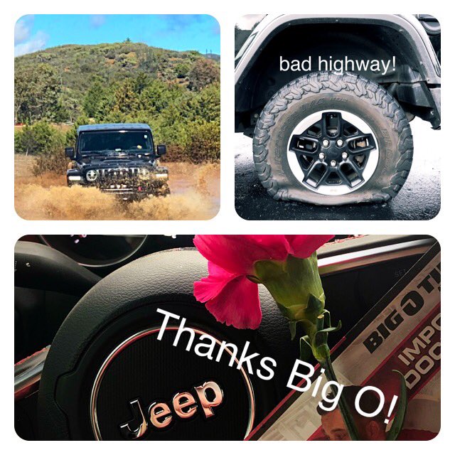 sondrapepe's tweet photo. Big thanks @bigotires Pleasanton, CA for turning my frown upside down! #CustomerExperience Flat tire, unfixable 😢 but affordable replacement, knowledgeable help and they were SUPER SWEET to boot! They gave me a 🌸! 😃 Rubi will be back for a lift! #JeepJL https://t.co/nxj8WA6YiB