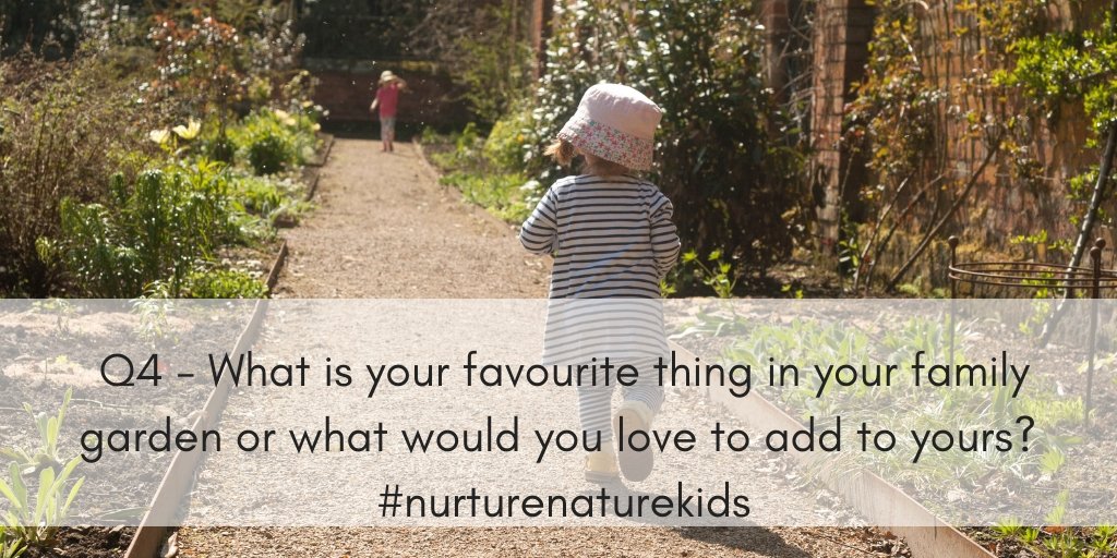 The ladybirds' adventures🐞🐞 tweet media