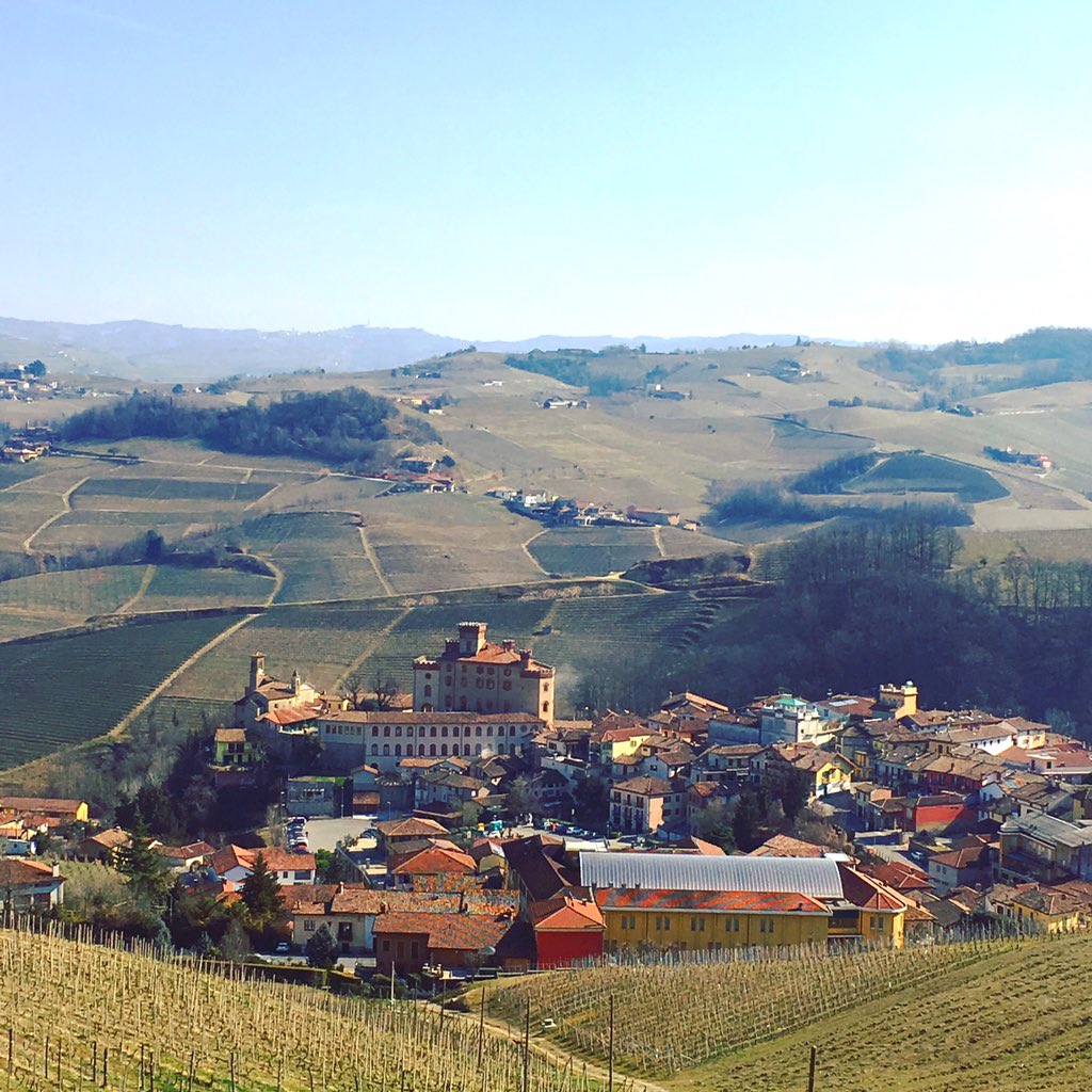 diwinetour's tweet photo. Barolo❤️
#langhe #barolo #piedmont #piemonte #collineunesco #unesco #gitadomenicale #winetourism #winepassion #wineday #winelover #foodandwine #beautifuldestinations #winedestinations #wineregion #beautifulplaces #beautifulday #panorama #view #beautifulview #greatview https://t.co/wFrCHUMUAG