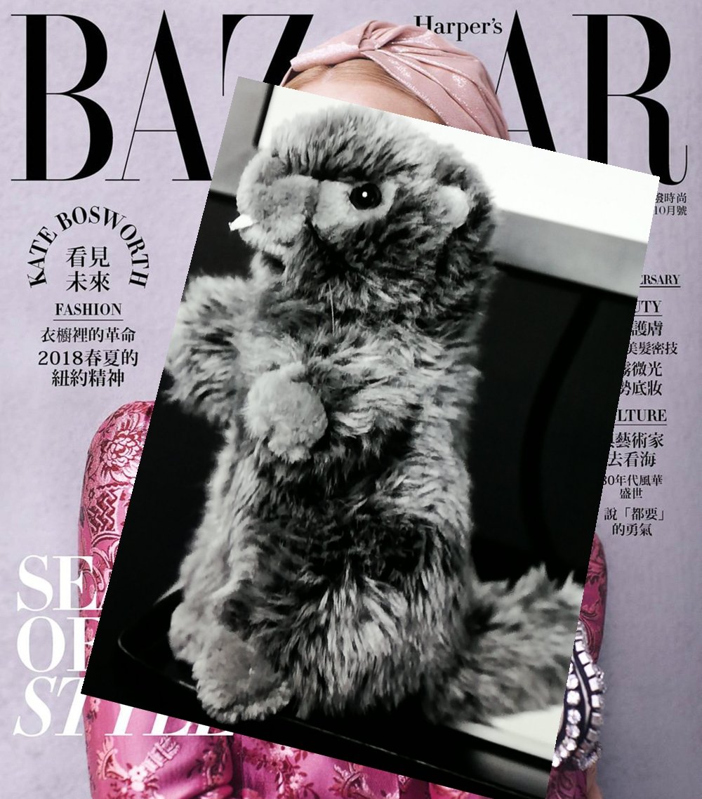 GreenTeaGirl2's tweet image. Denn nur Eine kann #GNTM werden und nur Eine kommt auf's Cover der Harper's Bazaar:
