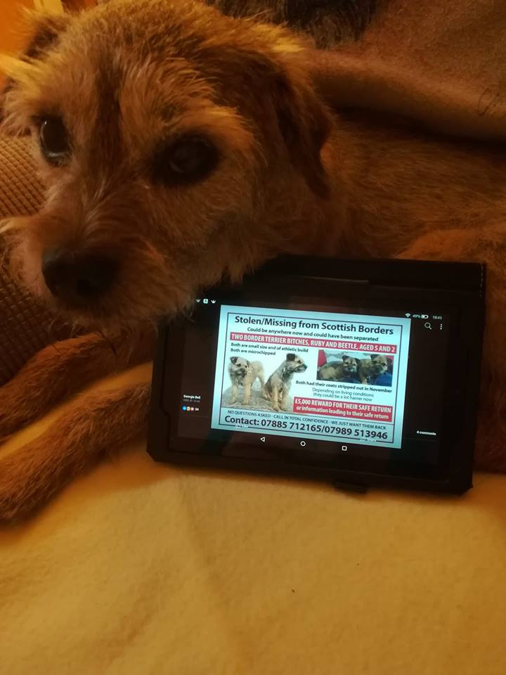 handsnpaws64's tweet photo. Supporting Beetle and Ruby https://t.co/djKXKLAOU5