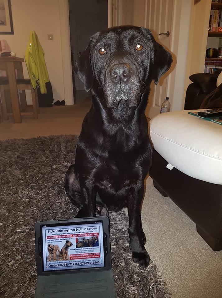 handsnpaws64's tweet photo. Supporting Beetle and Ruby https://t.co/fkeXxtJV6J