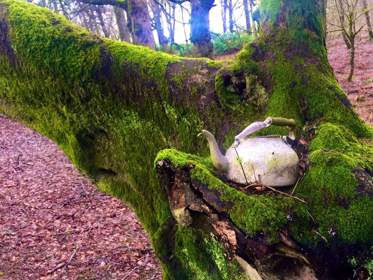 One of many recce highlights this morning <a href="/jongarysteele/">JON GARY STEELE</a> <a href="/patrickconroy01/">patrick conroy</a>