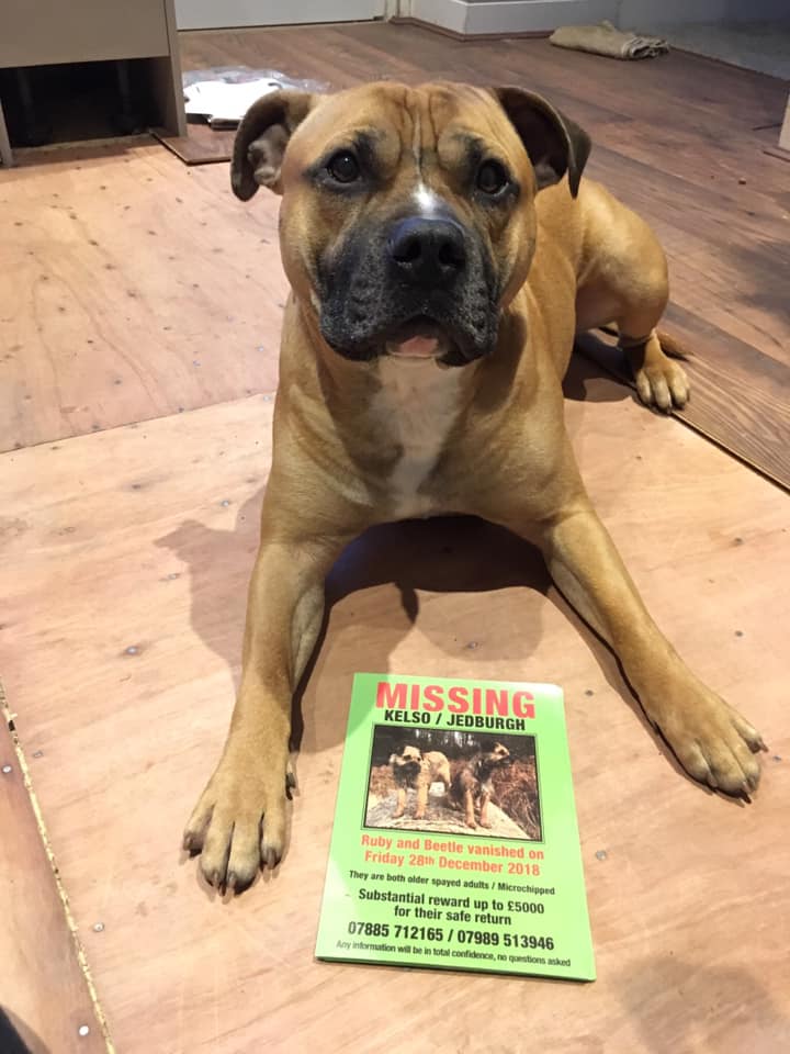 handsnpaws64's tweet photo. Supporting Beetle and Ruby https://t.co/r95ZWtYmZT