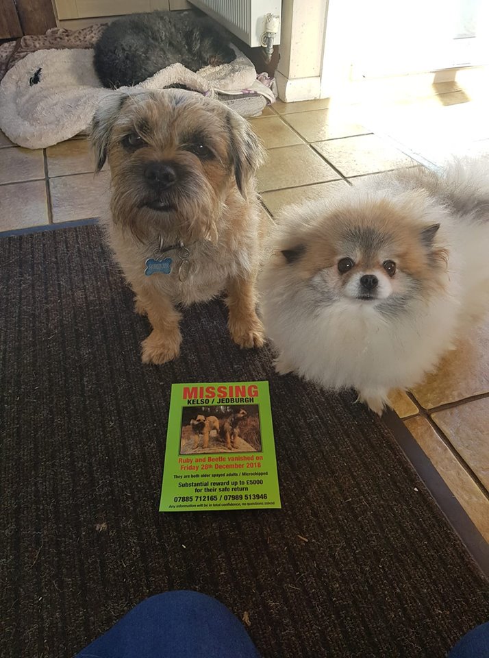 handsnpaws64's tweet photo. Supporting Beetle and Ruby https://t.co/8s23SzGGL0