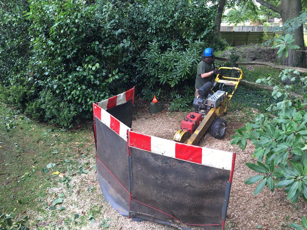 Do you need to plant but have an ugly tree stump in the way? We have the answer, just contact today for a quote to grind it away. #stumpremoval #stumpgrinder #treestump #treeremoval #treesurgeon #arblife #arborist