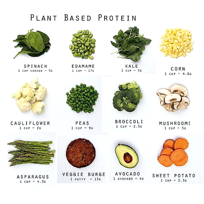 AriaJoy_Health's tweet photo. Plant based protein 🥦🥦💚

#plantbasedprotein #vegans #veganlifestyle https://t.co/xxfMyTbzr6