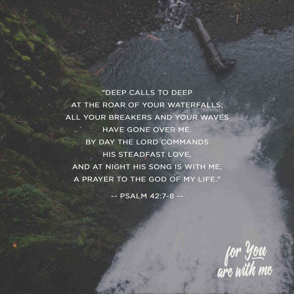 FirstBenton's tweet photo. This week's psalms for prayer are from Psalm 42, Psalm 63 &amp; Psalm 119:145-152. Download our prayer guide leading to Easter at https://t.co/LKAYtNGyOW #forYouarewithme https://t.co/LhvWhno4qa