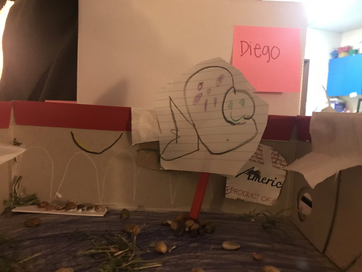 KaylaMascorro's tweet photo. Loved watching all their creativity coming out during their habitat projects! @jccaldwell72 @WinonaTXElem https://t.co/CSnojVSOkL