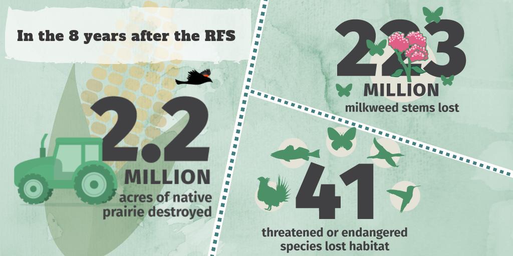 EcoFuelNWF's tweet photo. What's the #RenewableFuelStandard? It contributed to:
🚜10+ mil acres converted
🌾2.2 mil acres of native prairie destroyed
🦋223 mil milkweed stems lost
🦆41 threatened/endangered species had parts of their critical habitat converted to agriculture

➡️https://t.co/OSbpt7npUn https://t.co/qoooBTNTew