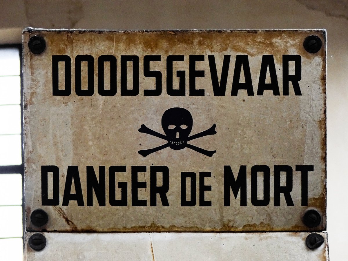 isoletters tweet media