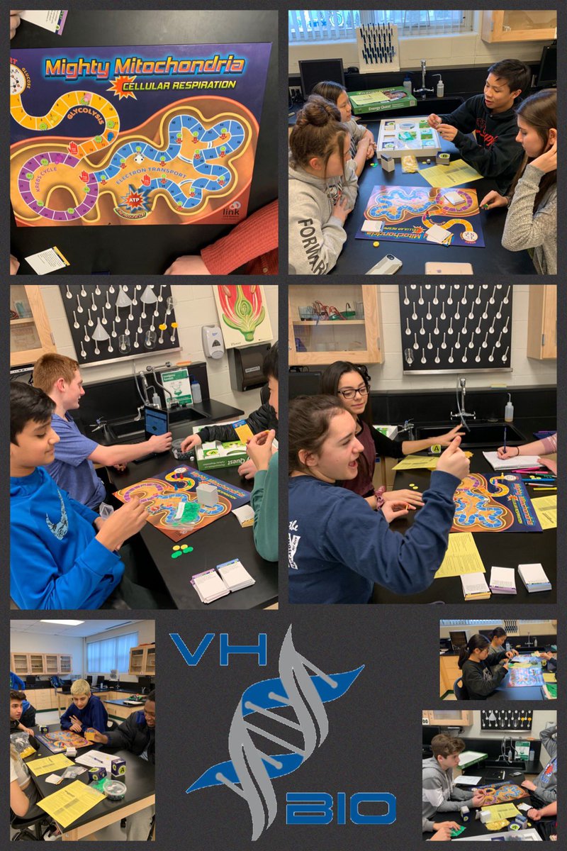 Chris Wolf tweet media