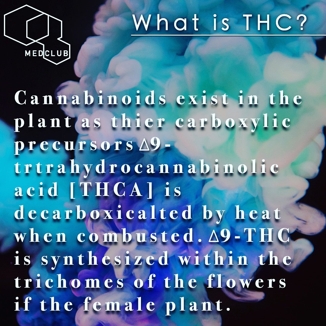 DrJenn_MedClub's tweet photo. #cannabis #MedicalMarijuana #marijuana #MMJ #ThursdayThoughts #ThursdayMotivation #ScienceTwitter #Science https://t.co/X5JyGrA8Tx
