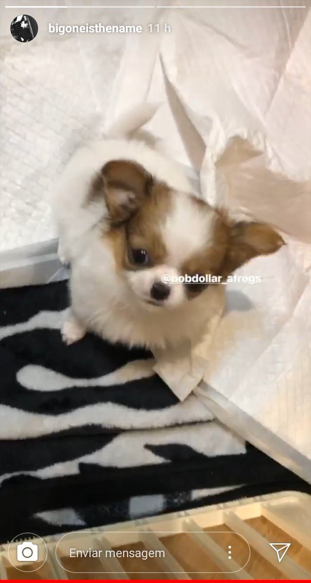 BIGONEbr's tweet photo. [STORIES] https://t.co/rbMcedYVZ5