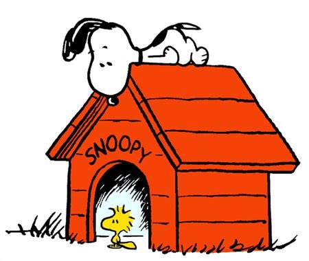 Tango38475664's tweet photo. All I need now is my very own Woodstock! #dogsoftwitter #PetLife #BeLikeSnoopy https://t.co/Zx4L9Zk5Yf