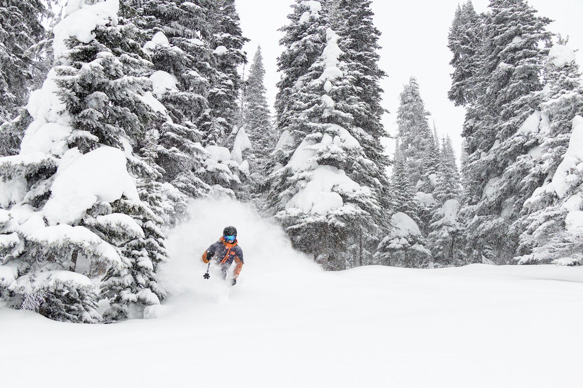 SunPeaksResort's tweet photo. Leave your friends behind, it's a pow day! We've had 20cm in 24 hours with more in the forecast.
#sunpeaks360 #explorebc #explorekamloops https://t.co/hBc03G9CXu