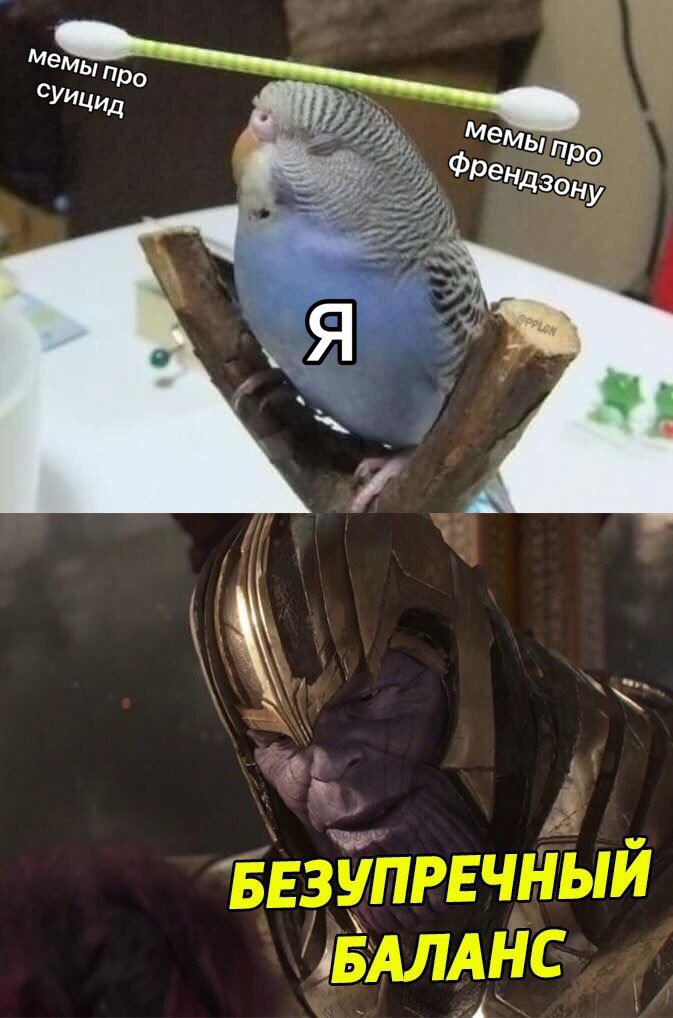D1Fr21zWoAAQ8Hv?format=jpg&name=medium