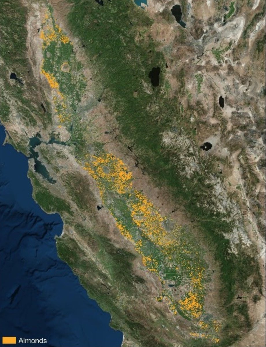 JSSAlmonds's tweet photo. The Almond Board of CA has developed a mapping analysis to improve the precision & transparency of info. about the #almond community. Click the link below to view the maps & to learn more about the methodology, findings & applications. https://t.co/08JkliHNaV
#almonds #jssalmonds https://t.co/ddc6SkwBTF