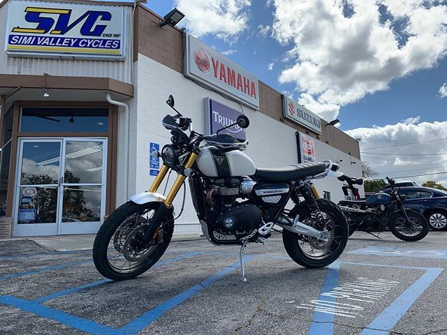 BloodBrosInc's tweet photo. Don’t test ride the new #Triumph #Scrambler1200 - you’ll buy one. (I did 🤦🏻‍♂️🤭) #notthisone #wheeliemachine #fuckyes #getlost #justgo #greenmachine (@motochopshop I blame you 😂) https://t.co/RaHhzo8PwT https://t.co/E4ekdrZSZz