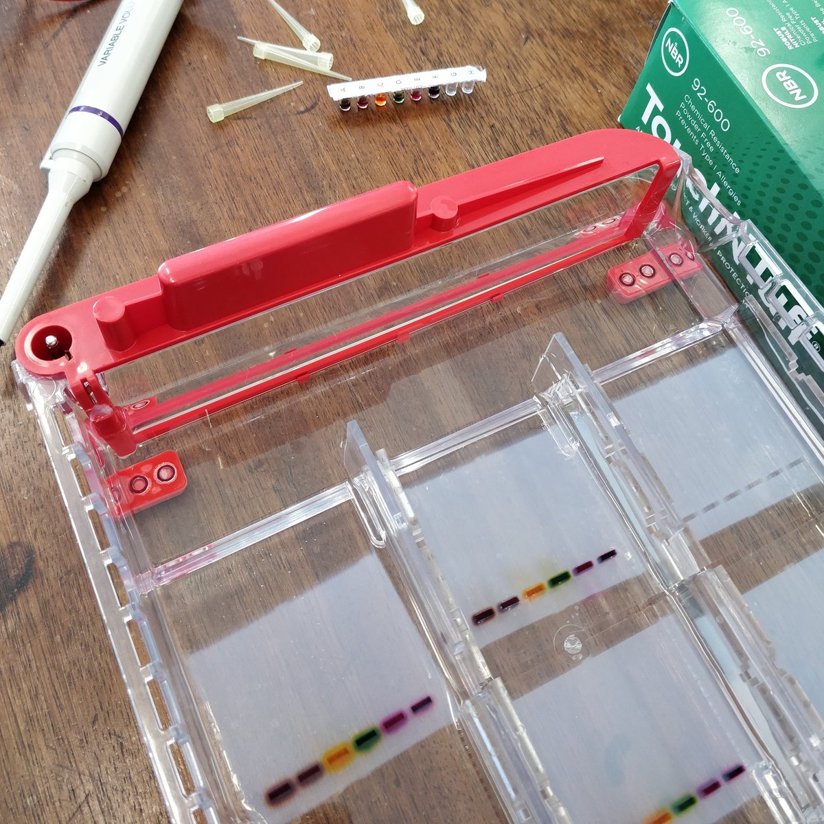 mrmercerbiology's tweet photo. A-level Biology students expertly filling their wells, naturals! #dna #forensics #electrophoresis #biology #alevelbiology  #cceabiology #srcchat https://t.co/PaDHuNuJqa