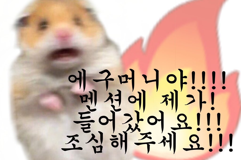 스푼 tweet media