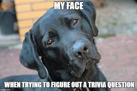 autbar's tweet photo. You're smart but are you Terry-Smart? Find out tonight & every Thursday #TriviaWithTerry at 8pm. #Trivia #TriviaThursday @UMichStudents @JimToyCenter @lgbtrc_emu @ILoveGayDetroit #AnnArbor #RealYpsi @KerrytownA2 @glbtbooks @UMSpectrumCtr @ILoveGayMI https://t.co/syRkwI9GKE