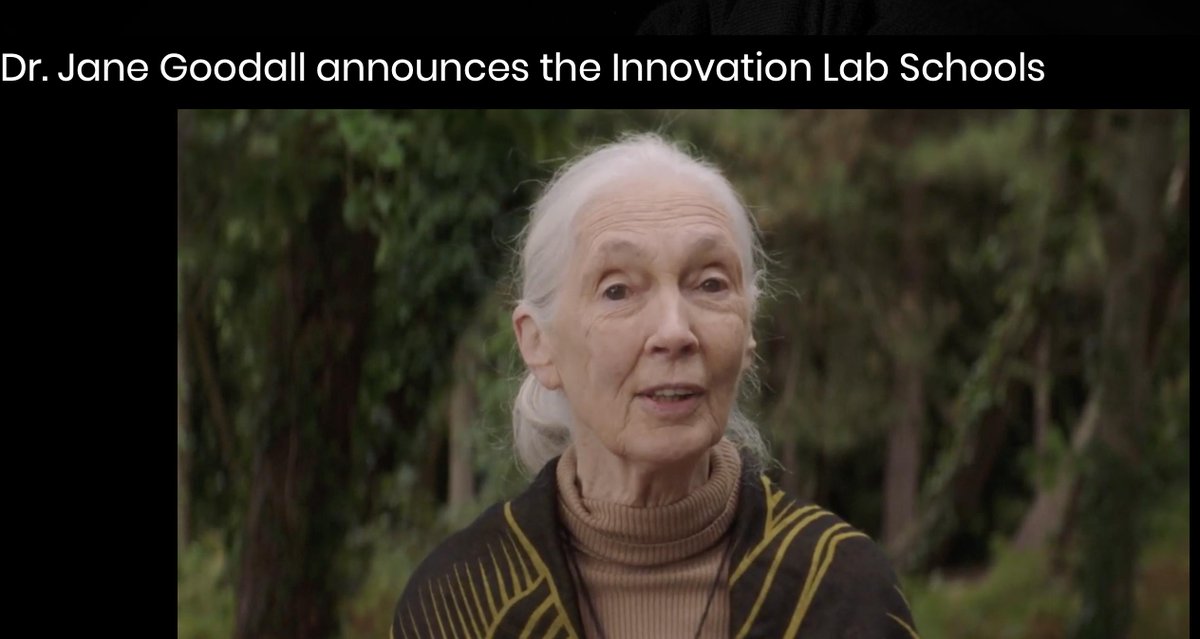 JenWilliamsEdu's tweet image. Incredibly proud to partner with one of my childhood heroes to make a difference in the lives of children of the world! 
🌐💙
Grateful for you, Dr. Goodall! Excited for the future! @SDGLabSchools @JaneGoodallInst @zelfstudie innovationsdglab.com  #TeachSDGs #TheGlobalGoalsBook