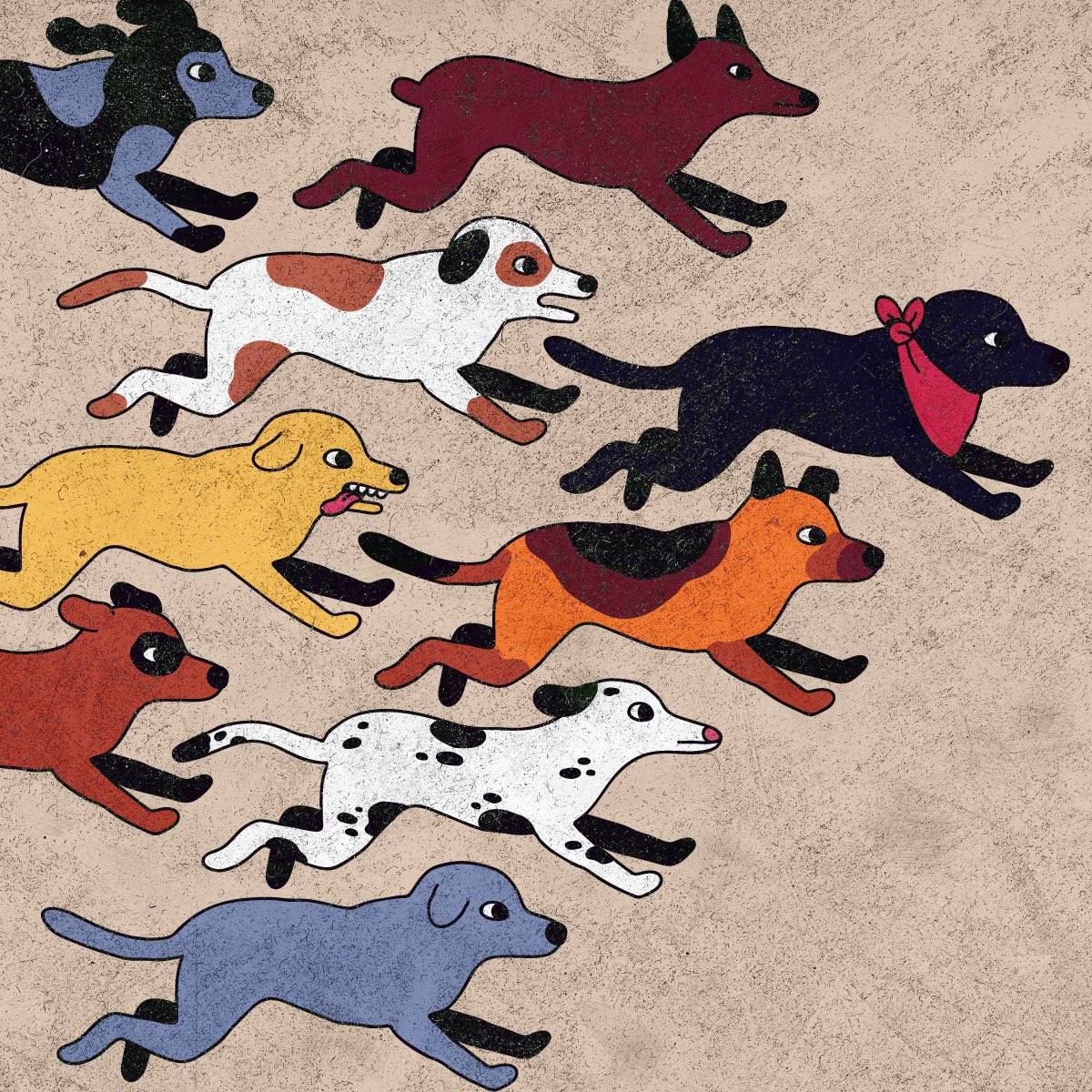 Cachorro tweet media