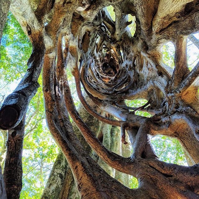 Portia 🌿 | Travel Writer tweet media