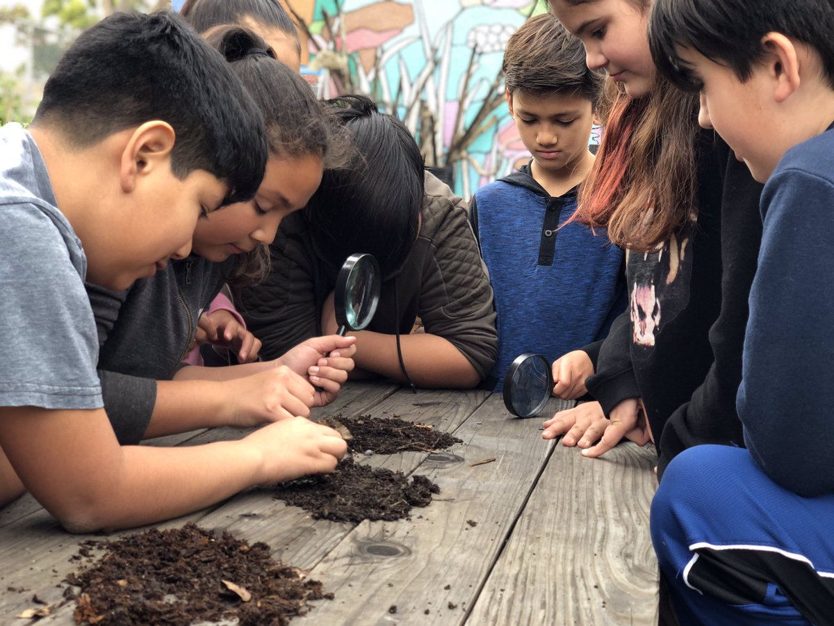 Glenfeliz_SAS's tweet photo. Compost biology in 5th grade at Glenfeliz SAS. @lausd_ldc @LASchools @EnrichLA https://t.co/wsknCUYmom