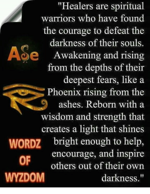 sam stavreski tweet media