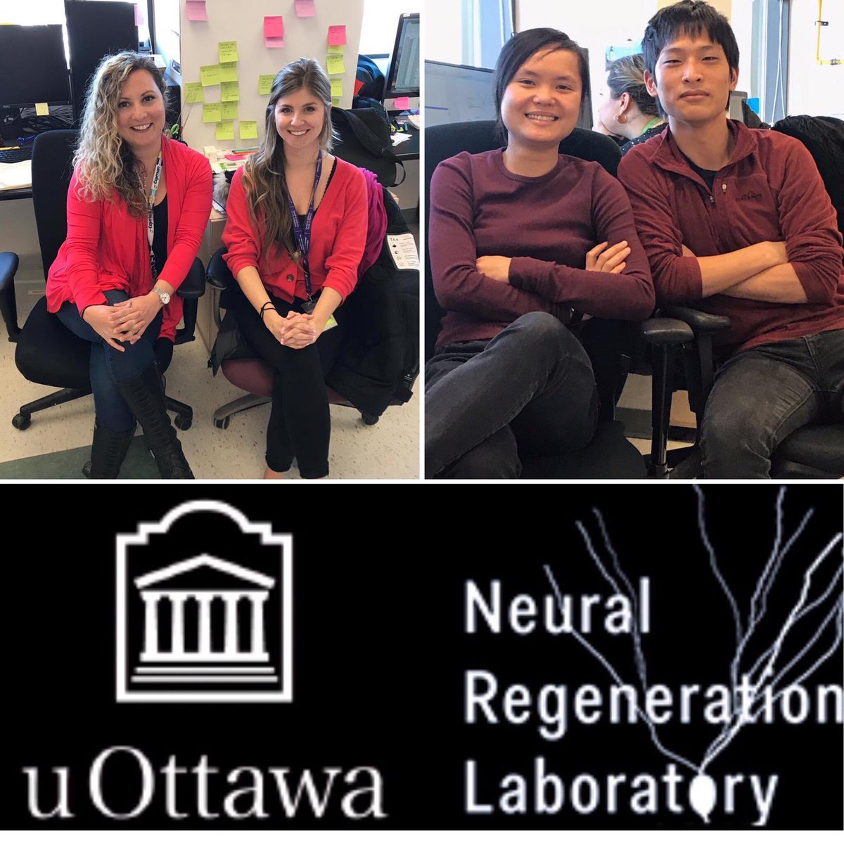 asecretwind's tweet photo. In spirit of celebrating #InternationalWomensDay, these are the ladies (and Justin) of #NRLLab @Neurolipidomics . We are empowered by our beloved Dr. Stef Bennett. #Lipidomics @shannonthomps28 https://t.co/bL376l8dGw
