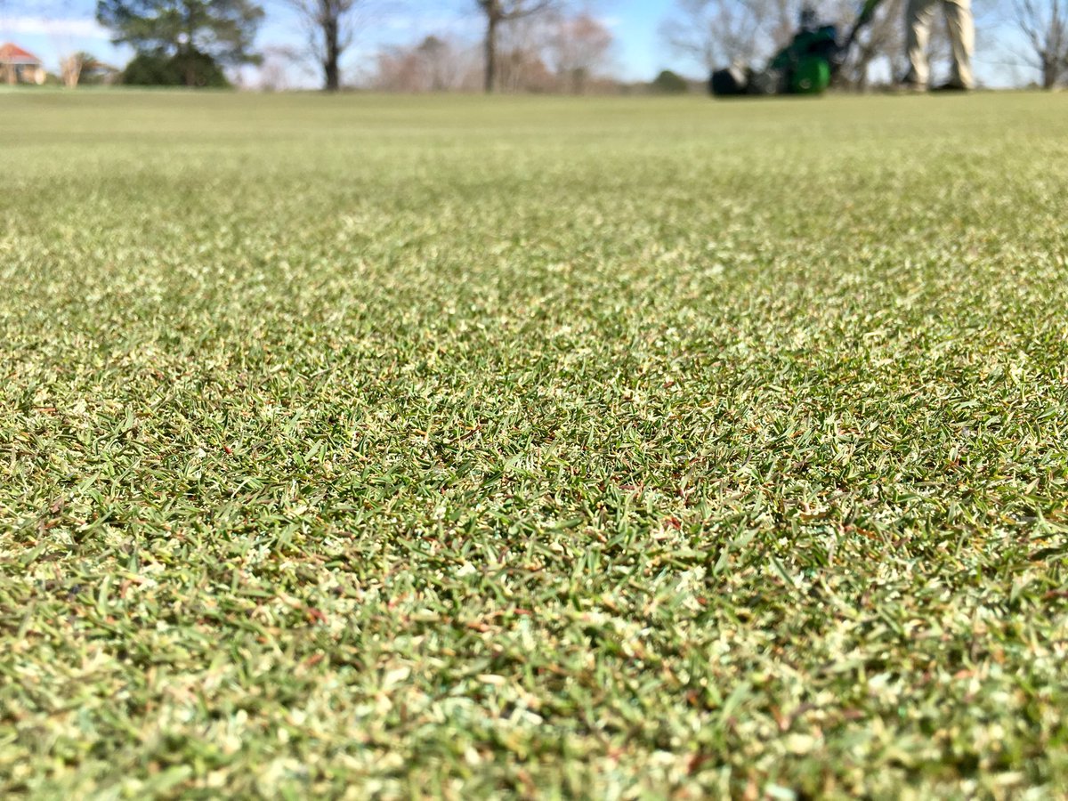 TPCSugarloafAgronomy tweet media