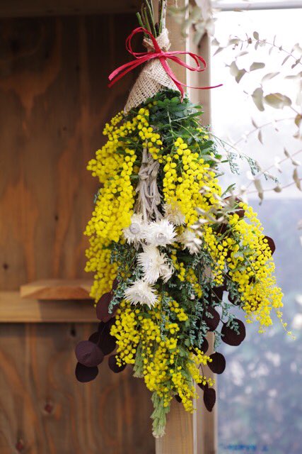 azu_yu's tweet photo. 町内のお花屋さんでスワッグ作りしました。お花の話をしながら教えて頂きチャチャっとできあがりました。
#solflos #ミモザ #スワッグ #ミモザスワッグ https://t.co/IwJnXgwqys